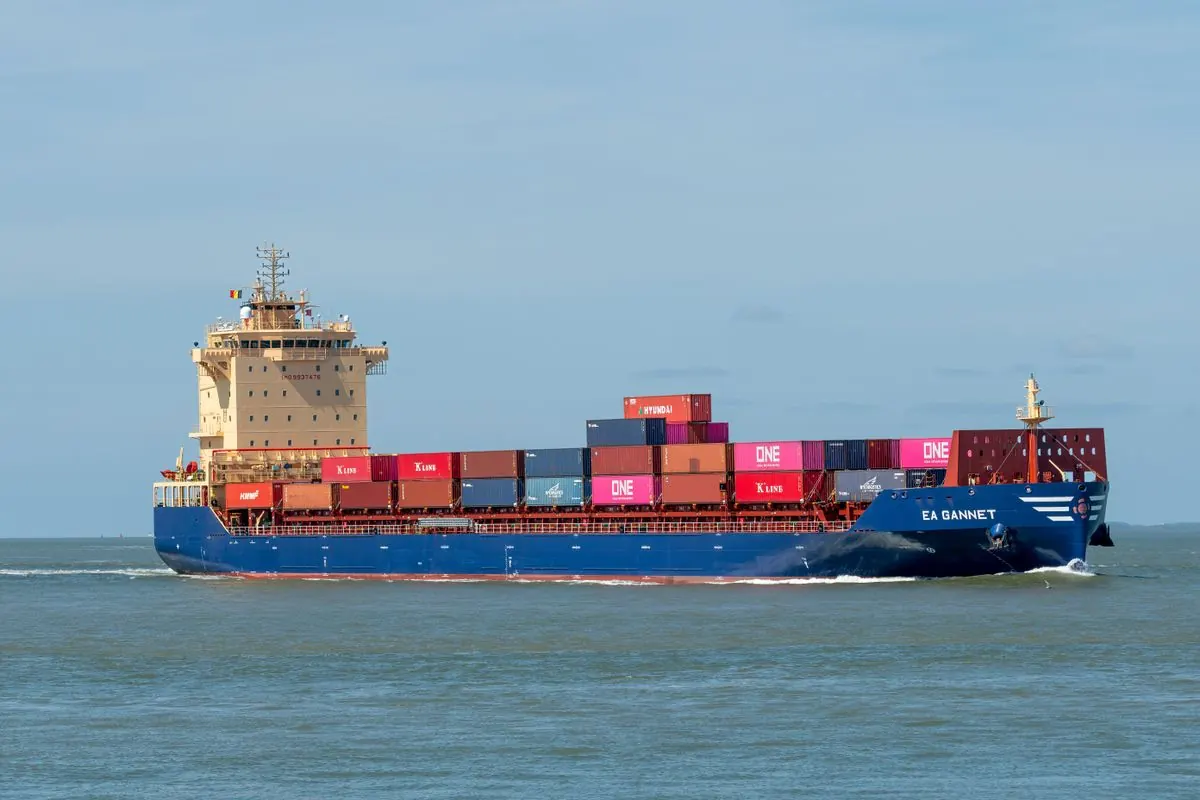 Sea freight container shipping